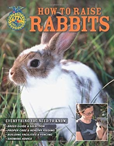 How raise rabbits - raise,